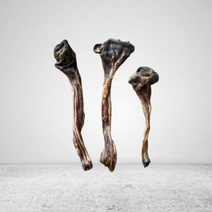 Kangaroo Tendons - 100g