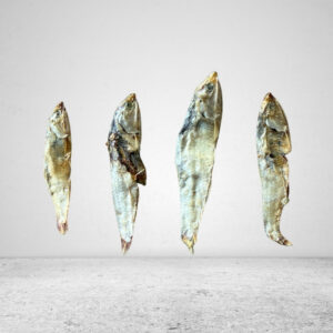 Anchovy Forage Fish - 100g