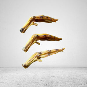 Duck Feet - 3 pcs