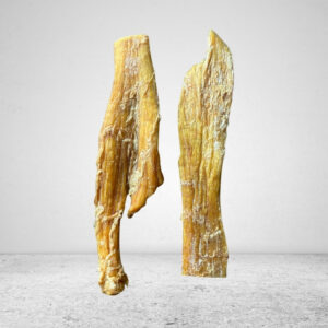 Beef Tendon Long - 10 pcs