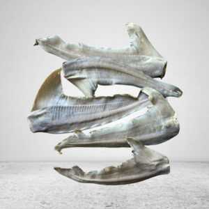 Shark Tails - 5 pcs