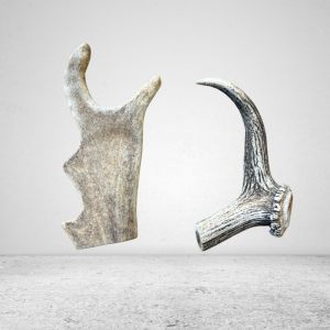 Venison Deer Antler -  1 piece